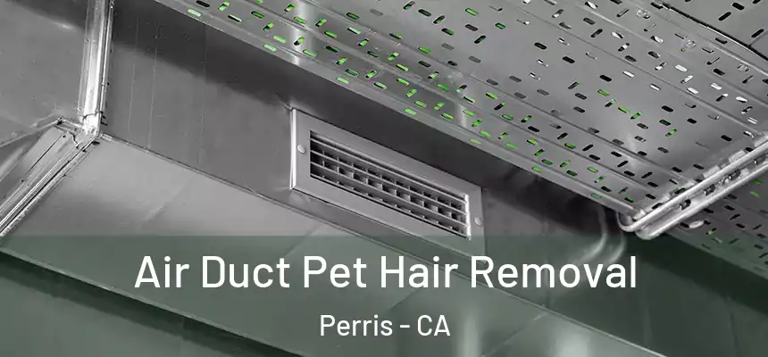Air Duct Pet Hair Removal Perris - CA