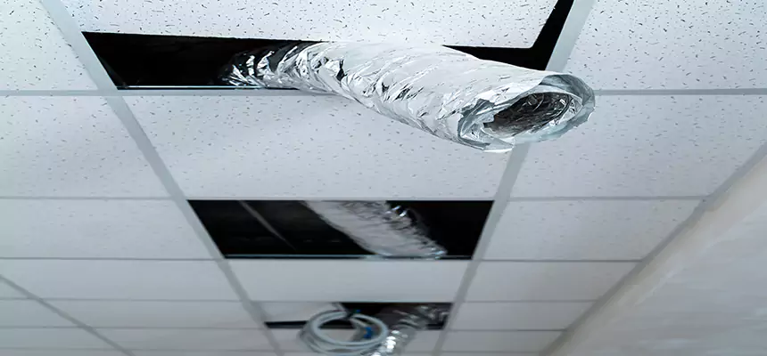 Affordable HVAC Sanitizing After Pest Removal in Perris