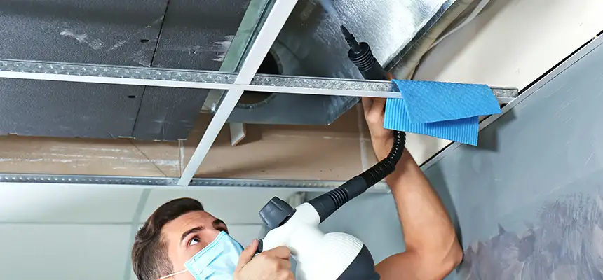 Our Air Duct Rodent Removal Services in Perris, CA