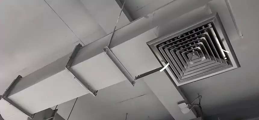 Our Pest Removal From Ducts Services in Perris, CA