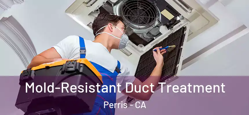Mold-Resistant Duct Treatment Perris - CA