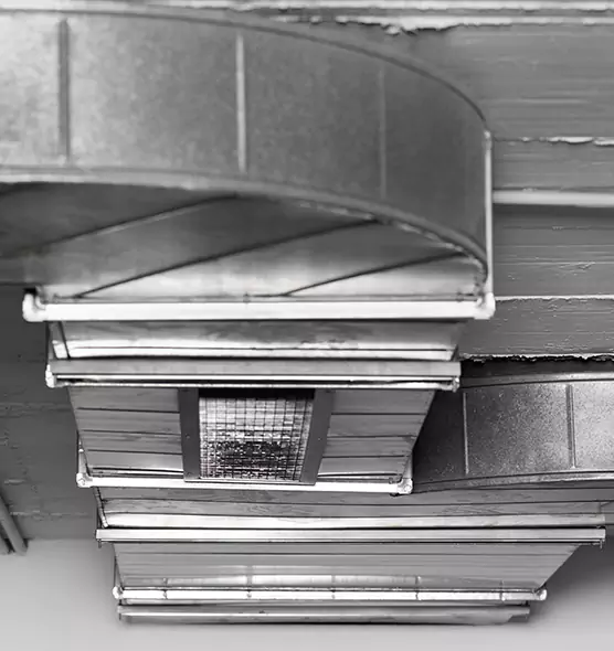 Professional Air Duct Pet Hair Removal in Perris, CA