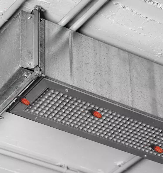 Affordable Insect Removal from Air Ducts in Perris, CA