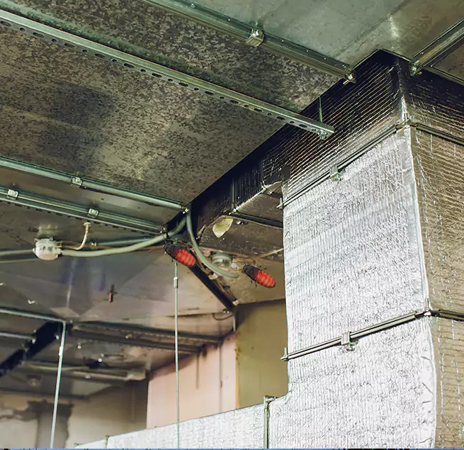 Why Homeowners & Businesses Trust Us in Perris, CA?