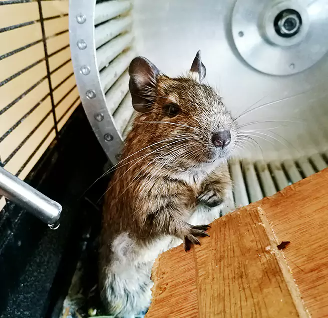 Why Homeowners & Businesses Trust Us Perris, CA